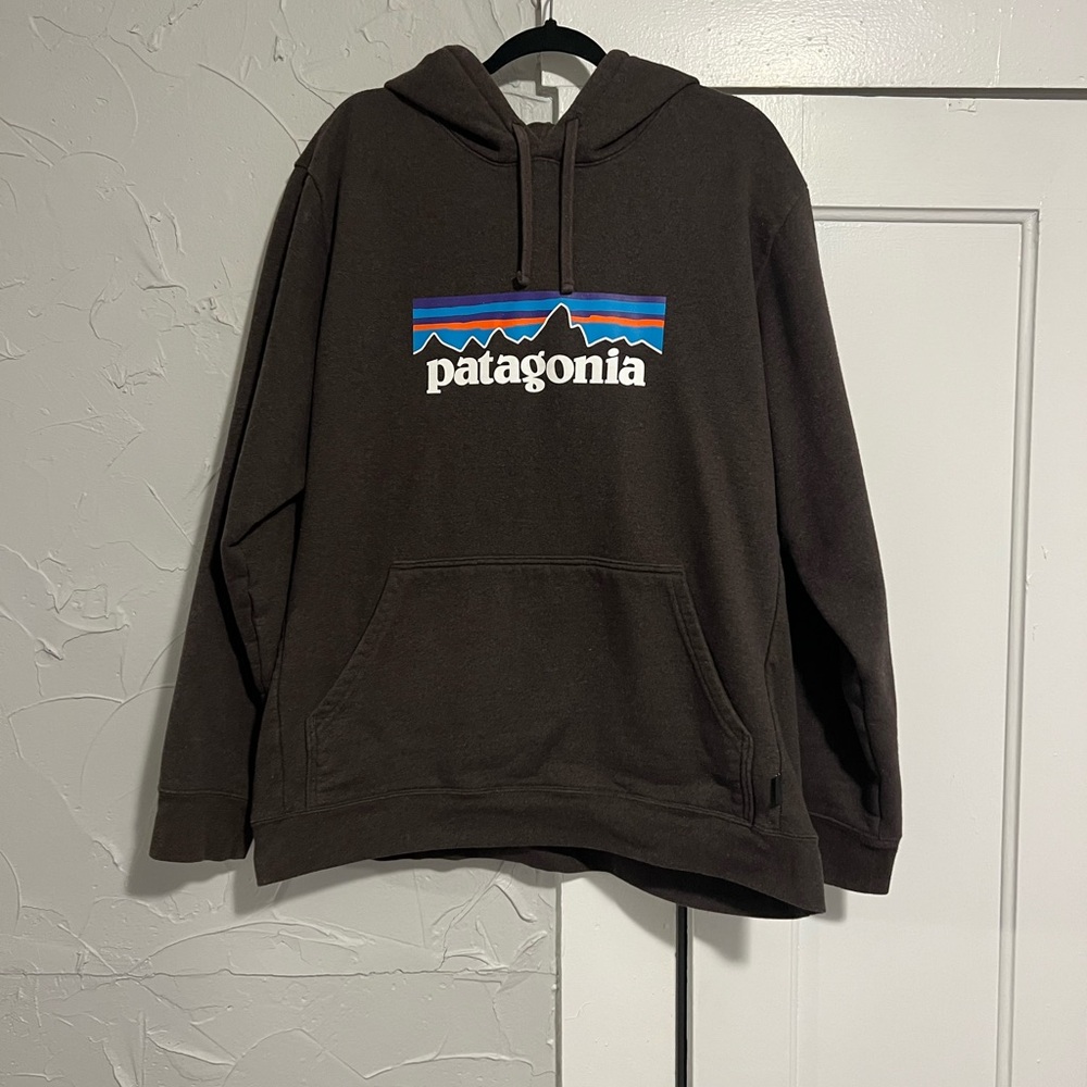 Patagonia Men's Brown Hoodie